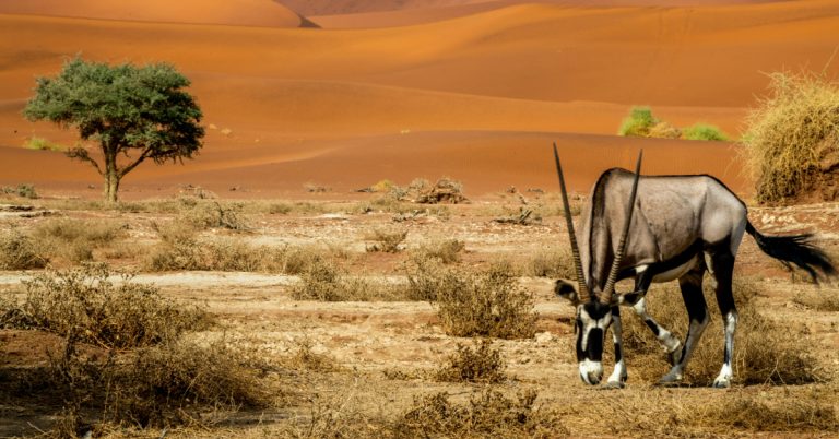 Namibia